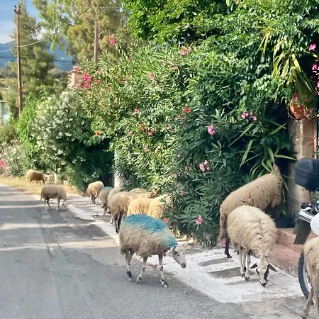 Mitso's House Mani Maison d'hôtes Exokhórion