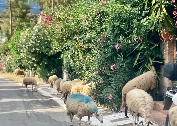 Mitso's House Mani Casa de hóspedes Exokhórion